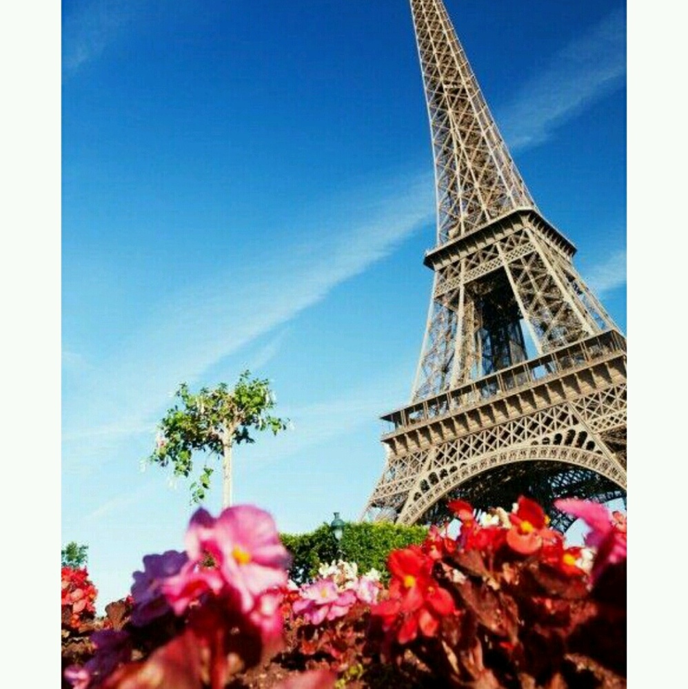 Meet your Posher, Lana